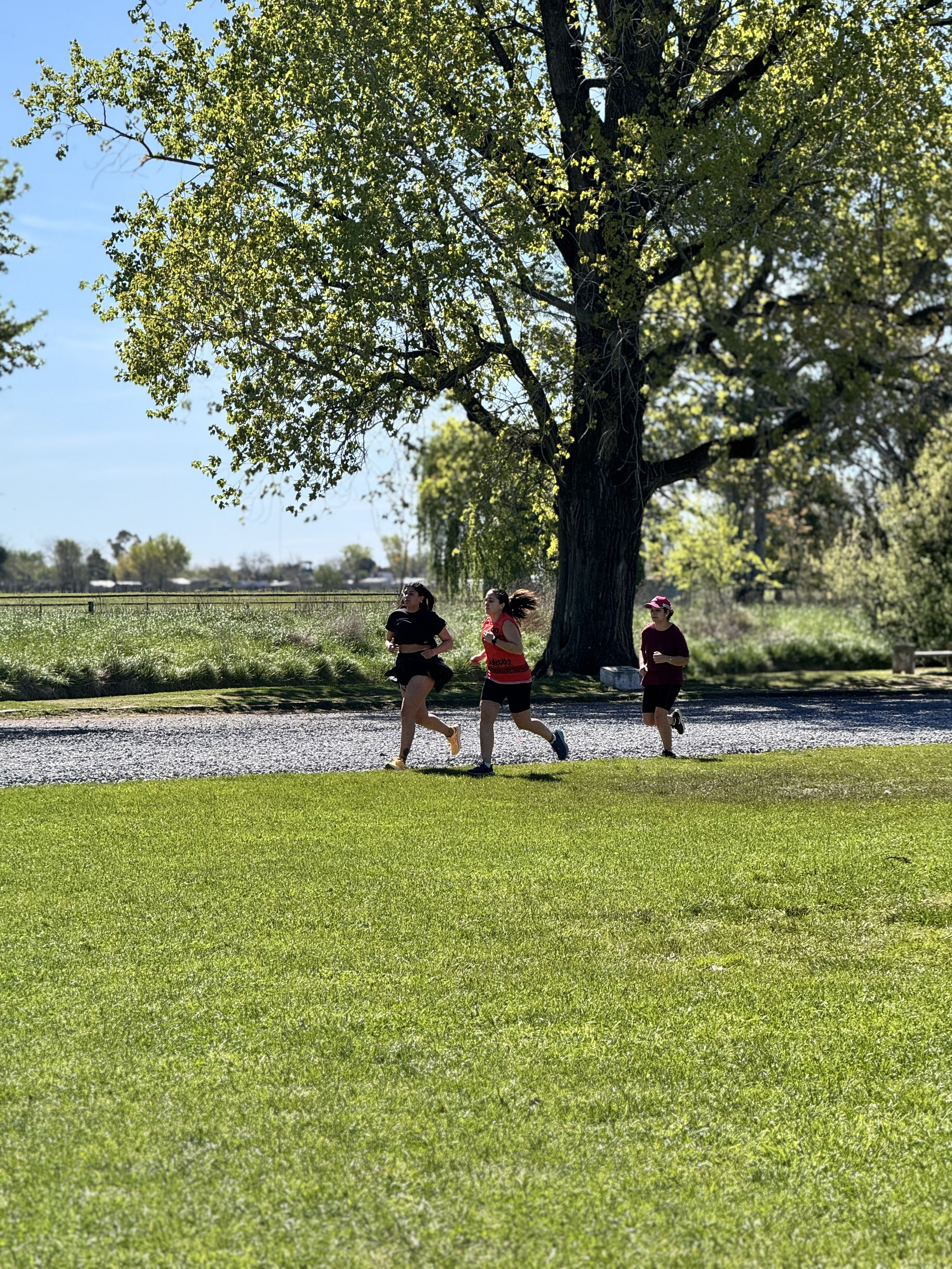 Comunidad corriendo